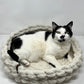 Chunky Knit Pet Bed