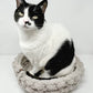 Chunky Knit Pet Bed